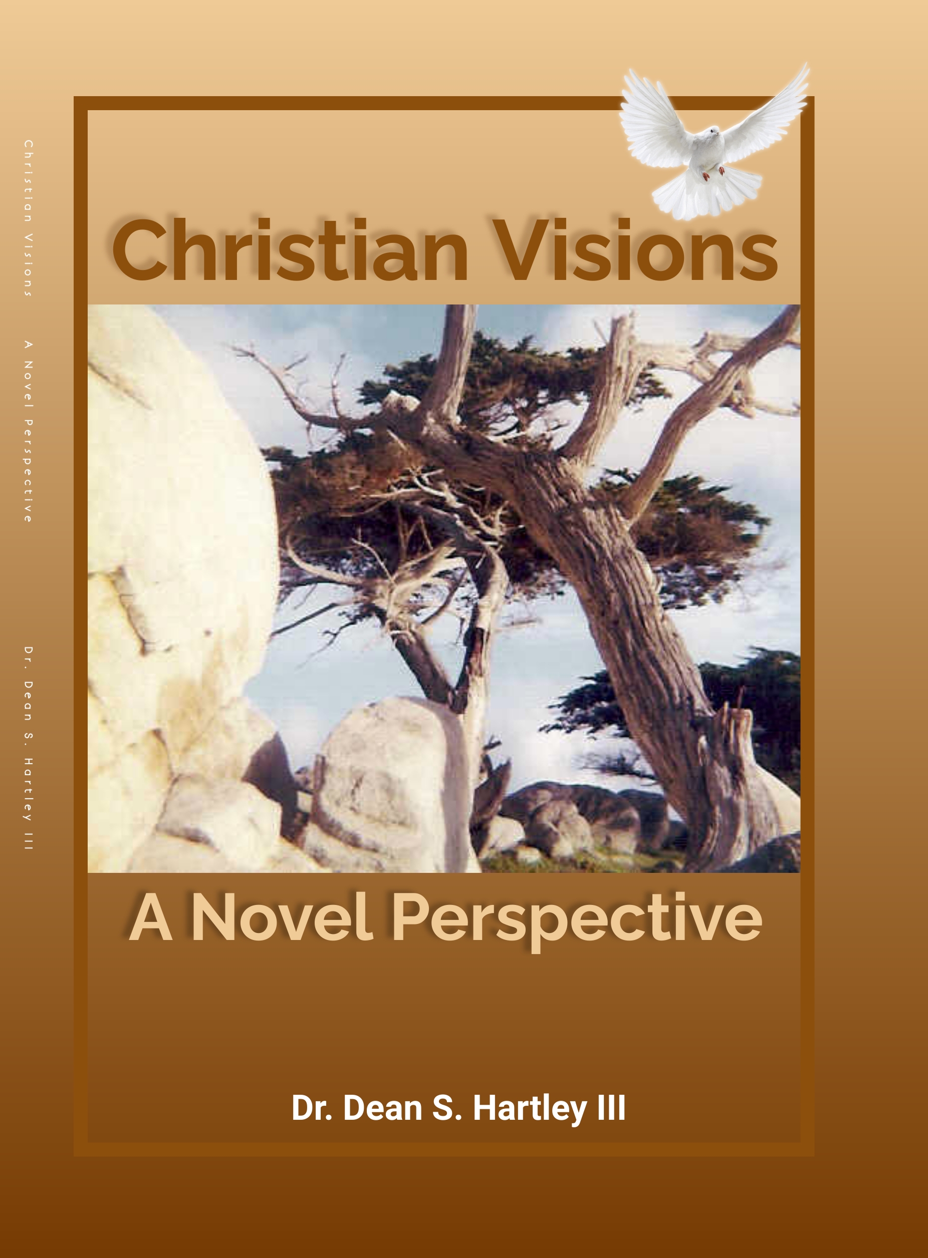 Novel Perspective front cover