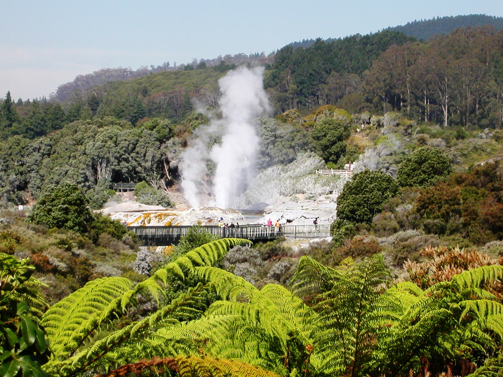 New Zealand, Te Puia in Rotorua