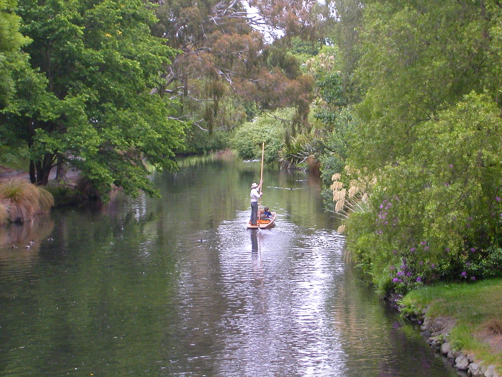 New Zealand, punting on Avon, Christchurch