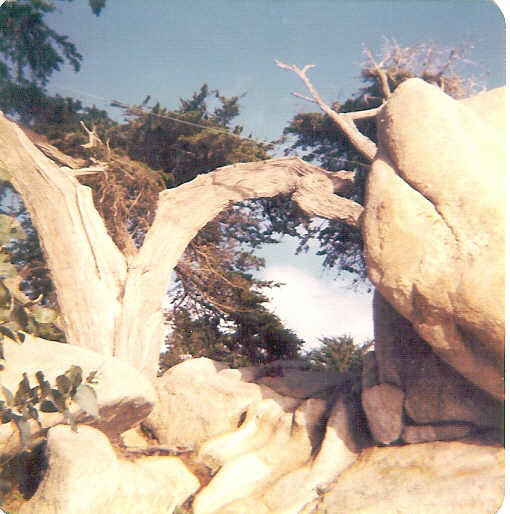 Monterey Rocks